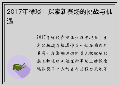 2017年徐琰：探索新赛场的挑战与机遇