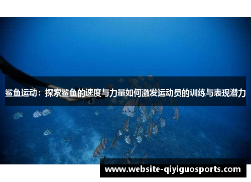 鲨鱼运动：探索鲨鱼的速度与力量如何激发运动员的训练与表现潜力